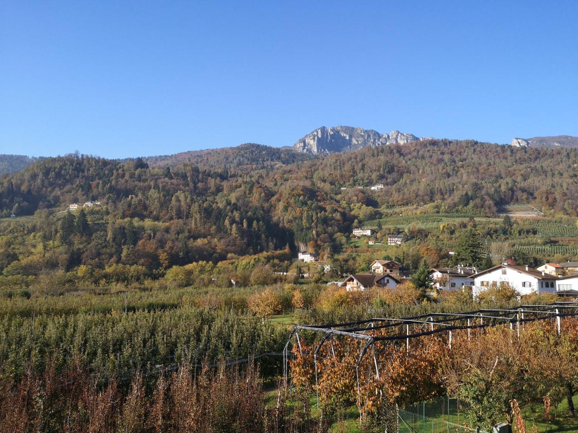 Appartamenti Casa Viviana Pergine Valsugana Exterior foto